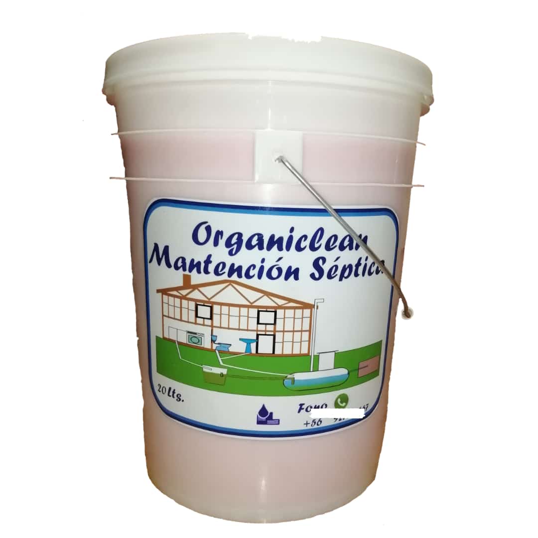 ms 20