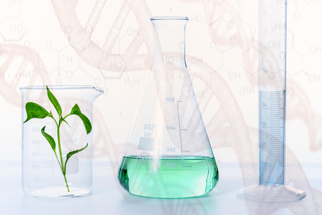 experiment, research, laboratory, science, plant, gmo, chemistry, biology, vial, nature, chemicals, beaker, graduated cylinder, glasswares, lab